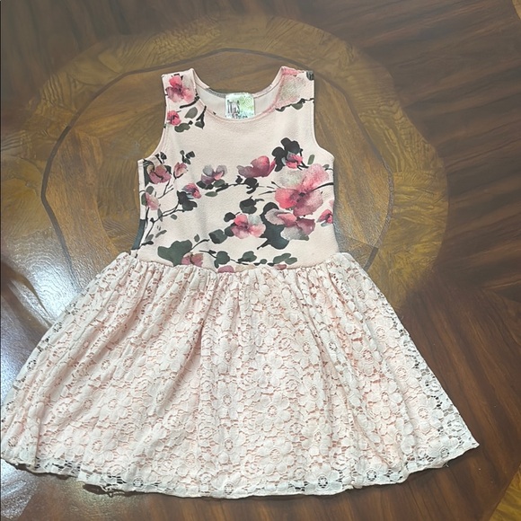 Pink and Red Sleeveless Scoop Neck Sundress - Picture 1 of 9